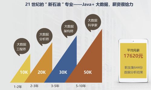 Java與大數據 哪個更值得學？——CSDN版大數據技術開發指南